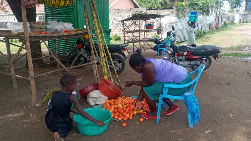 Woman preparing tomatos for sale