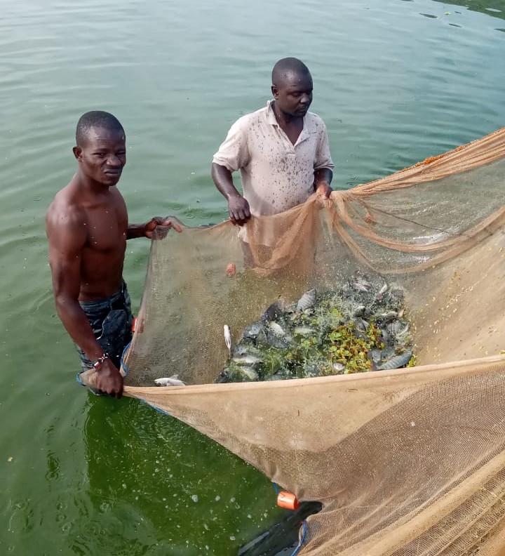 Mike and colleague working with nets